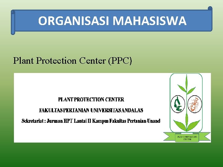 ORGANISASI MAHASISWA Plant Protection Center (PPC) 