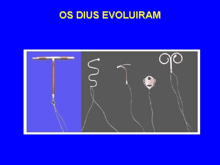 OS DIUS EVOLUIRAM 