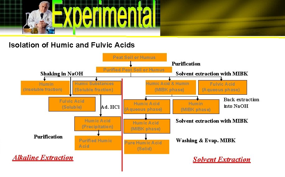 Isolation of Humic and Fulvic Acids Peat Soil or Humus Purification Shaking in Na.