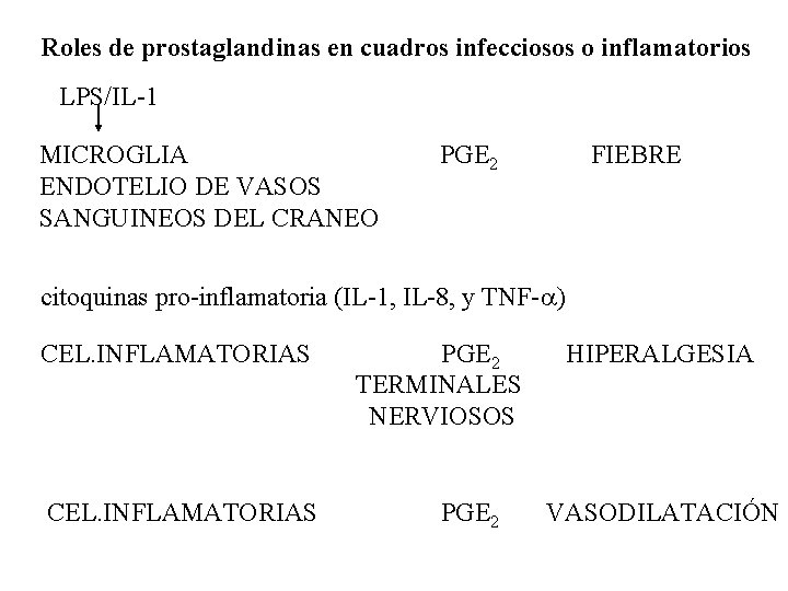 Roles de prostaglandinas en cuadros infecciosos o inflamatorios LPS/IL-1 MICROGLIA ENDOTELIO DE VASOS SANGUINEOS