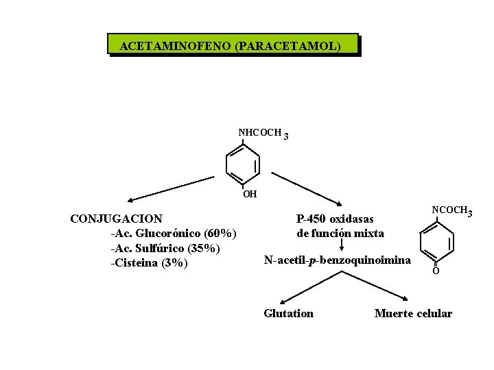 ACETAMINOFENO (PARACETAMOL) NHCOCH 3 OH CONJUGACION -Ac. Glucorónico (60%) -Ac. Sulfúrico (35%) -Cisteina (3%)