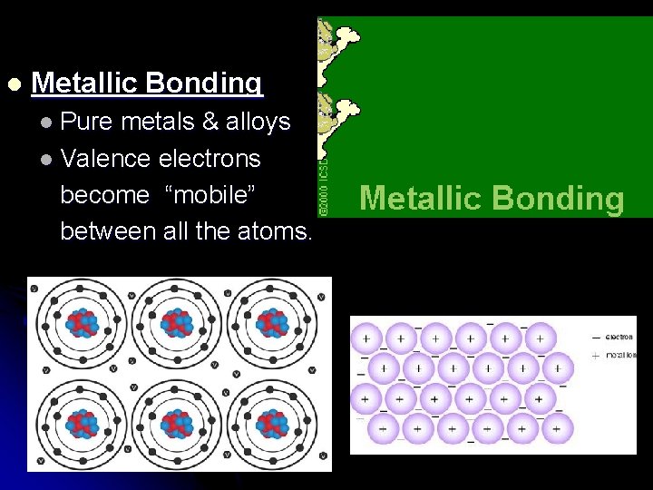 l Metallic Bonding l Pure metals & alloys l Valence electrons become “mobile” between