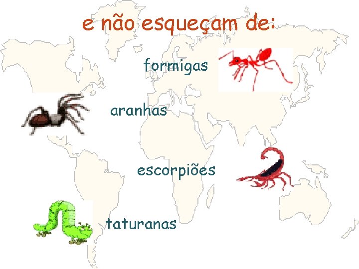 e não esqueçam de: formigas aranhas escorpiões taturanas 