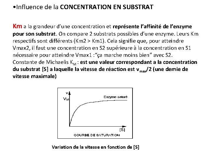 • Influence de la CONCENTRATION EN SUBSTRAT Km a la grandeur d’une concentration • Influence de la CONCENTRATION EN SUBSTRAT Km a la grandeur d’une concentration