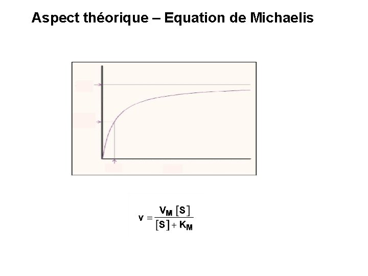Aspect théorique – Equation de Michaelis Aspect théorique – Equation de Michaelis