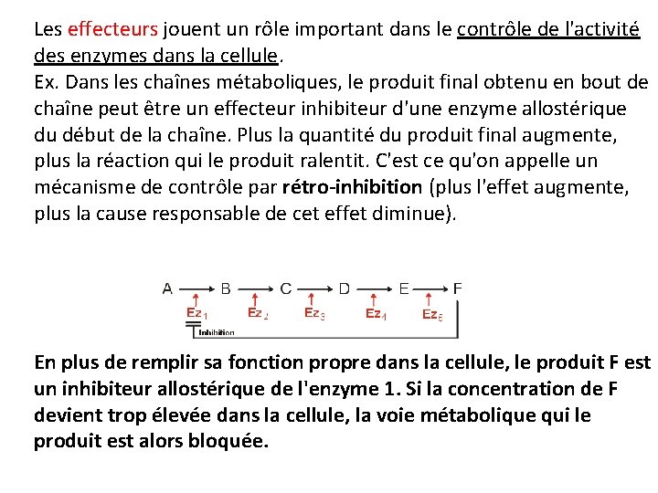 Les effecteurs jouent un rôle important dans le contrôle de l'activité des enzymes dans Les effecteurs jouent un rôle important dans le contrôle de l'activité des enzymes dans