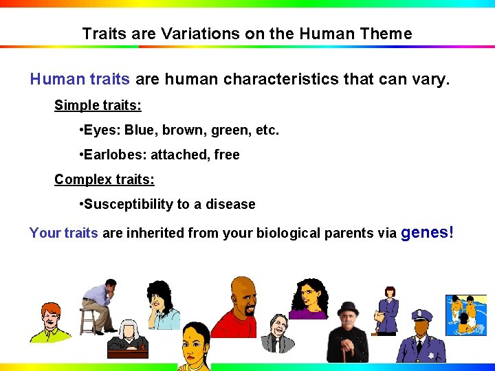 Traits are Variations on the Human Theme Human traits are human characteristics that can
