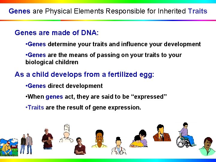 Genes are Physical Elements Responsible for Inherited Traits Genes are made of DNA: •