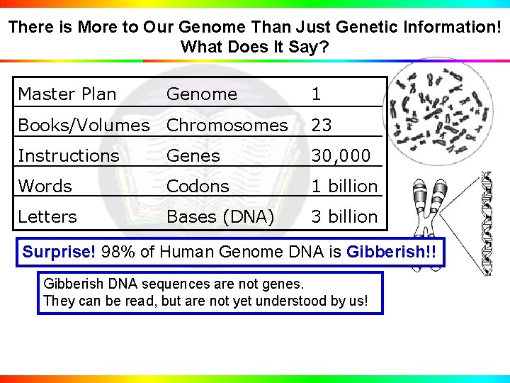 There is More to Our Genome Than Just Genetic Information! What Does It Say?