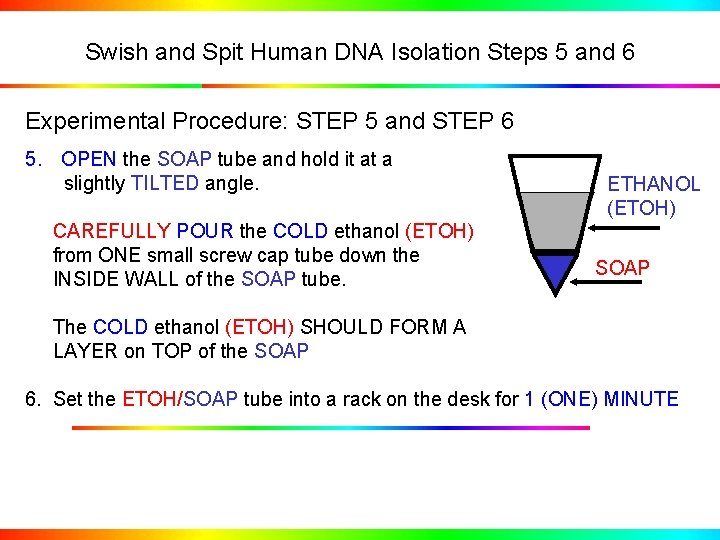 Swish and Spit Human DNA Isolation Steps 5 and 6 Experimental Procedure: STEP 5