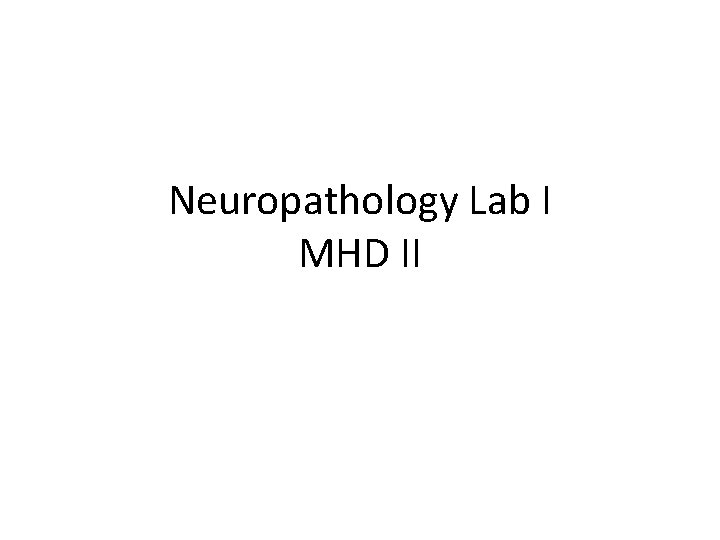 Neuropathology Lab I MHD II 