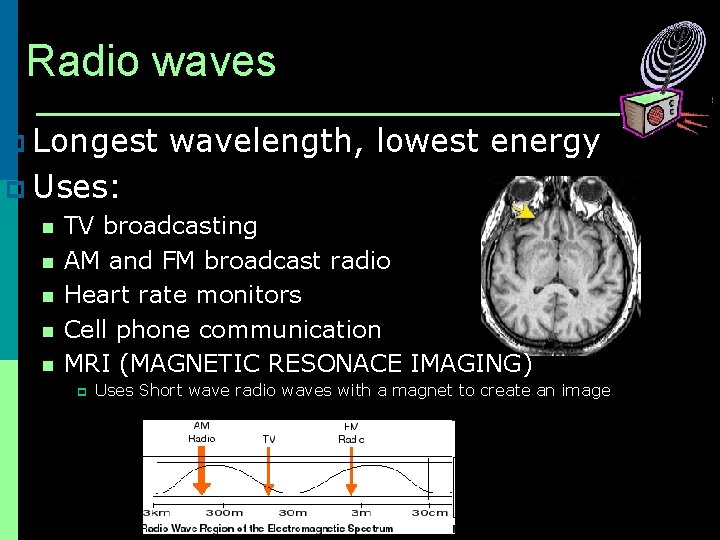 Radio waves p Longest wavelength, lowest energy p Uses: n TV broadcasting n AM