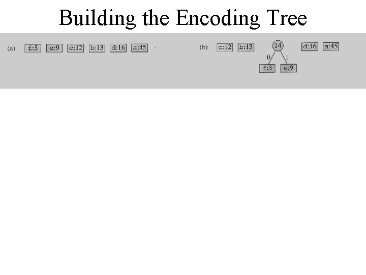 Building the Encoding Tree 