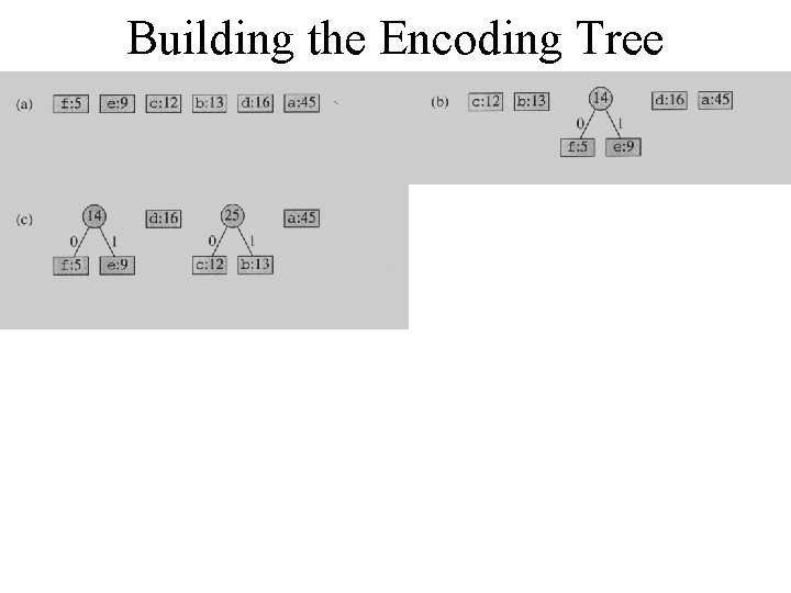 Building the Encoding Tree 