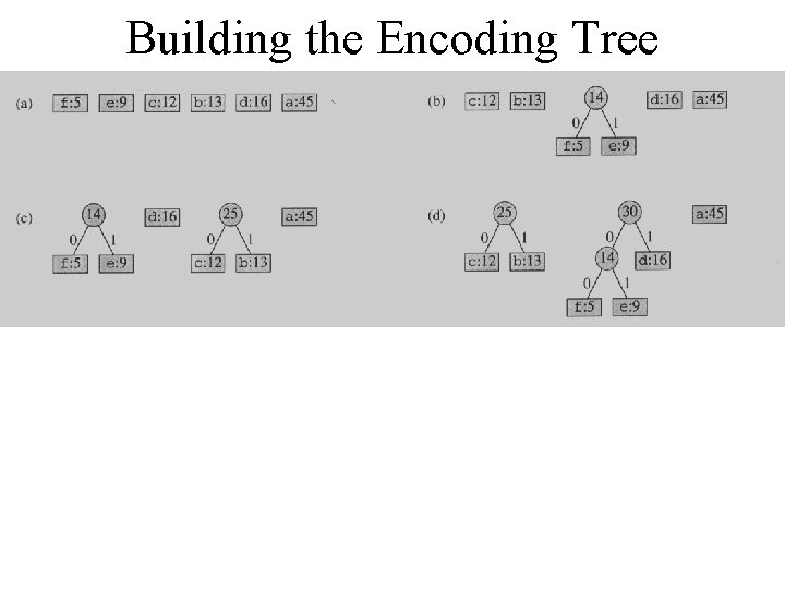 Building the Encoding Tree 