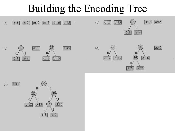 Building the Encoding Tree 