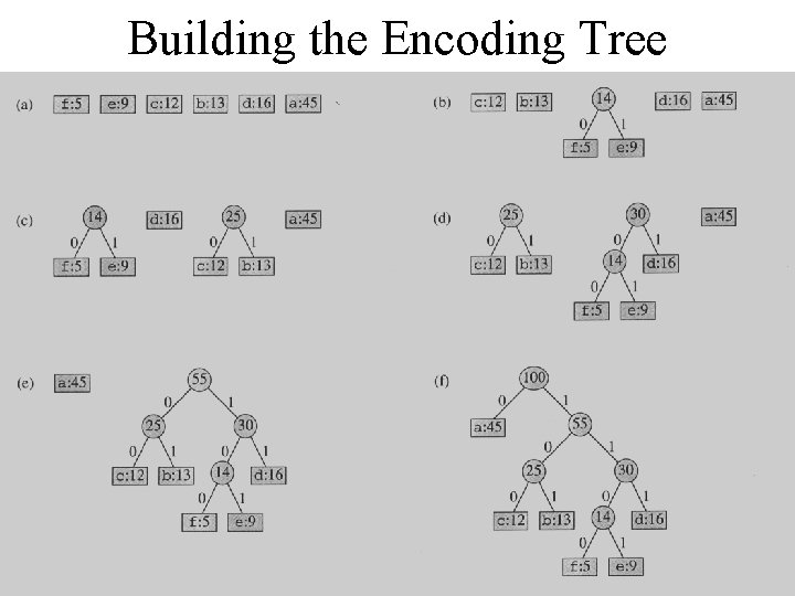 Building the Encoding Tree 