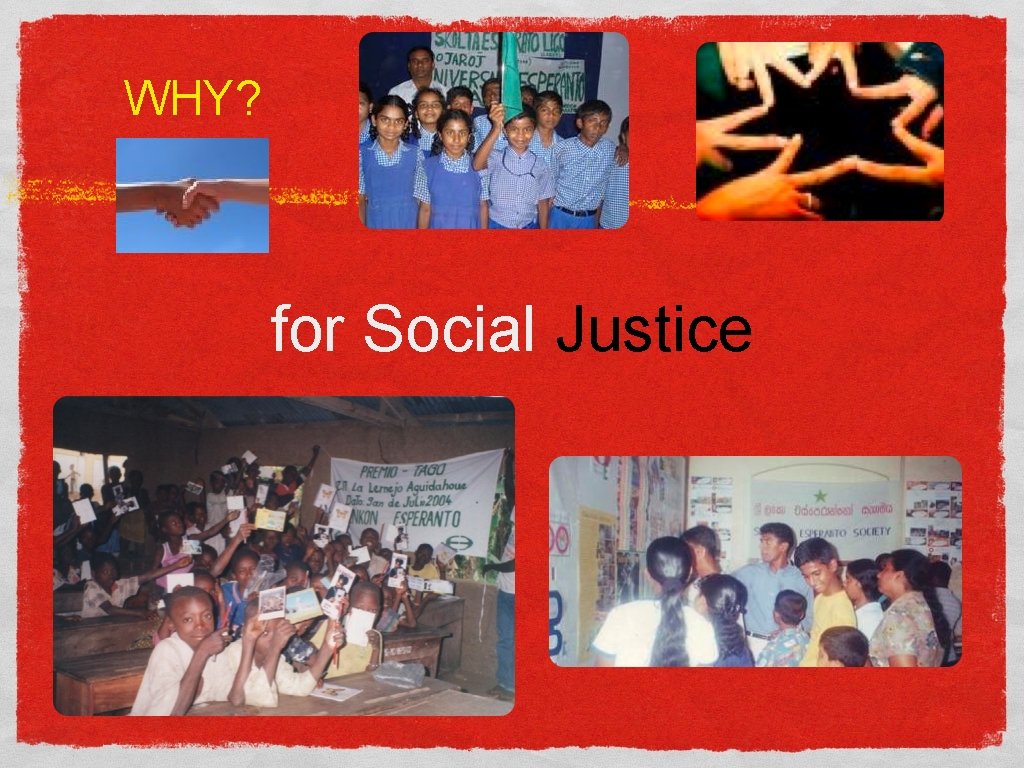 WHY? for Social Justice 