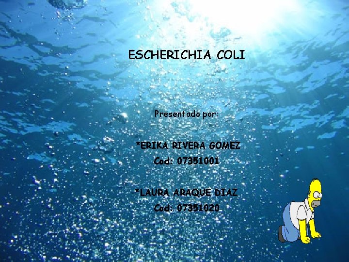 ESCHERICHIA COLI Presentado por: *ERIKA RIVERA GOMEZ Cod: 07351001 *LAURA ARAQUE DIAZ Cod: 07351020