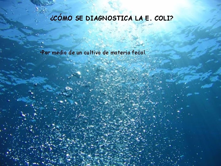 ¿CÓMO SE DIAGNOSTICA LA E. COLI? • Por medio de un cultivo de materia