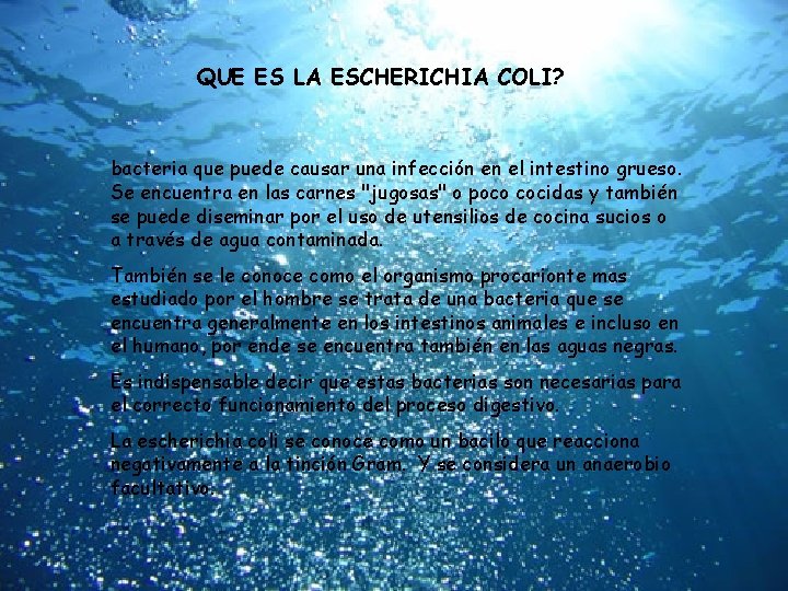 QUE ES LA ESCHERICHIA COLI? bacteria que puede causar una infección en el intestino