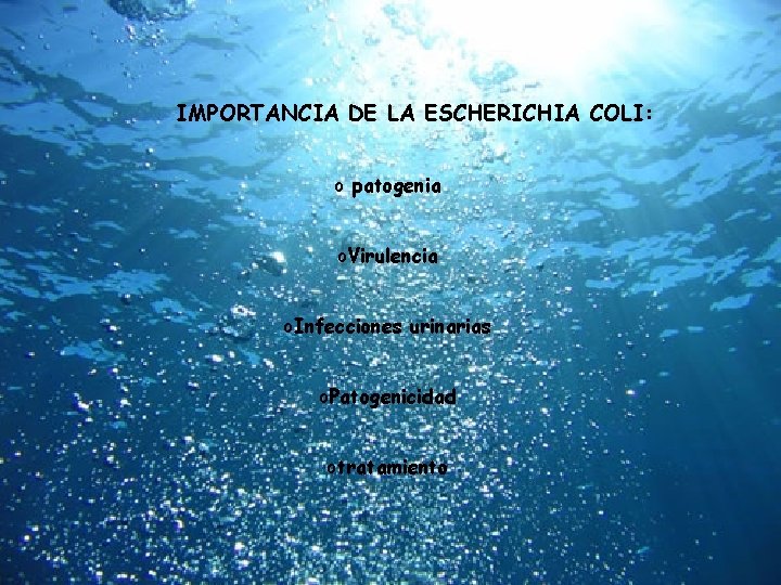 IMPORTANCIA DE LA ESCHERICHIA COLI: o patogenia o. Virulencia o. Infecciones urinarias o. Patogenicidad