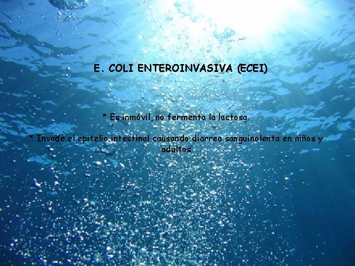E. COLI ENTEROINVASIVA (ECEI) * Es inmóvil, no fermenta la lactosa. * Invade el
