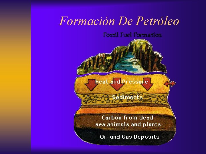 Formación De Petróleo 