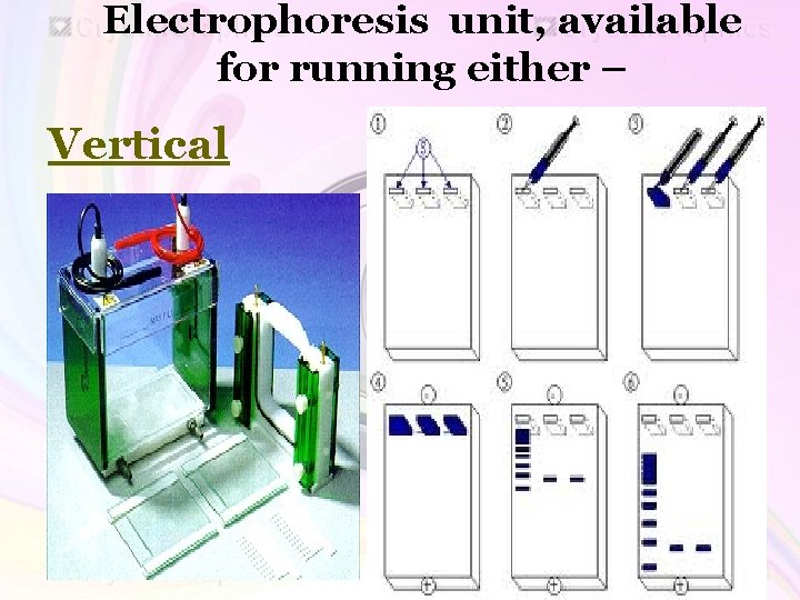 Electrophoresis unit, available for running either – Vertical 