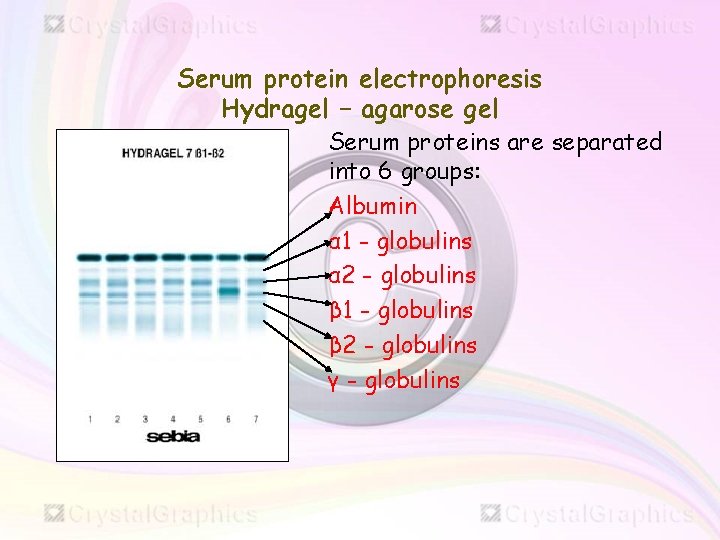 Serum protein electrophoresis Hydragel – agarose gel Serum proteins are separated into 6 groups: