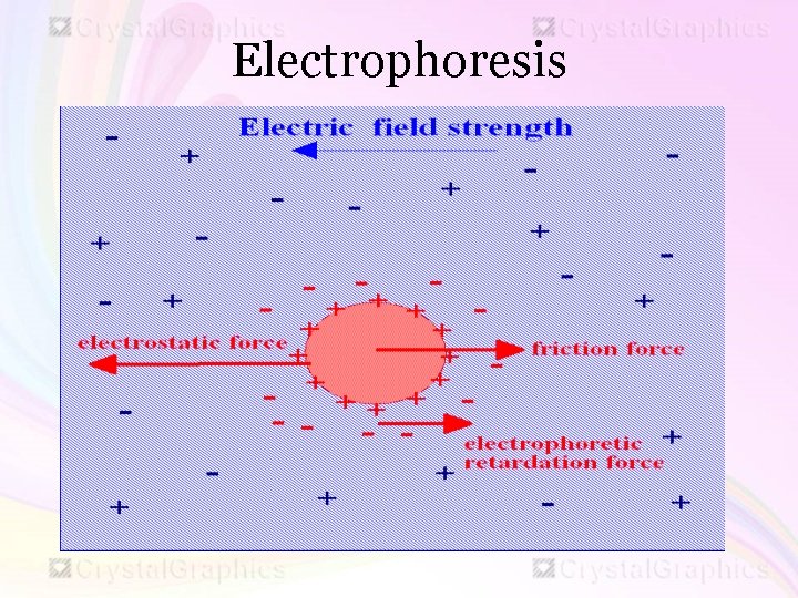 Electrophoresis 