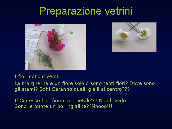 Preparazione vetrini I fiori sono diversi: La margherita è un fiore solo o sono