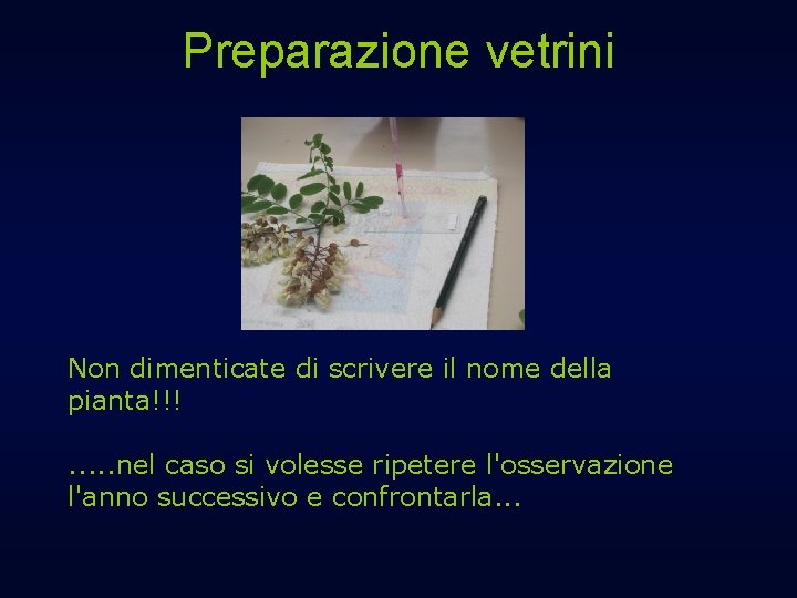 Preparazione vetrini Non dimenticate di scrivere il nome della pianta!!!. . . nel caso