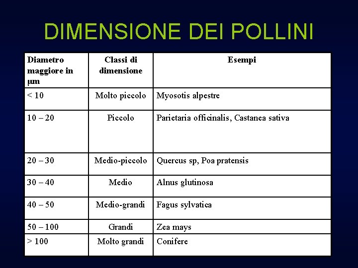 DIMENSIONE DEI POLLINI Diametro maggiore in μm < 10 Classi di dimensione Molto piccolo