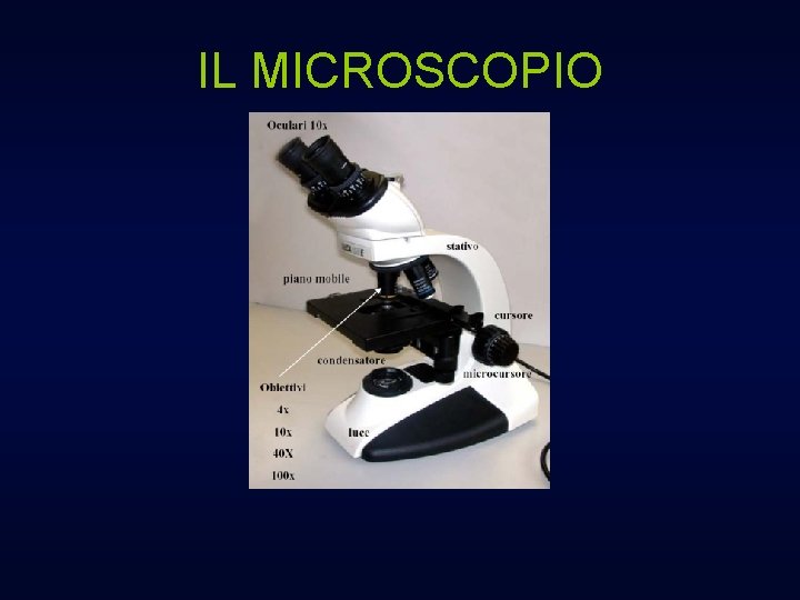 IL MICROSCOPIO 