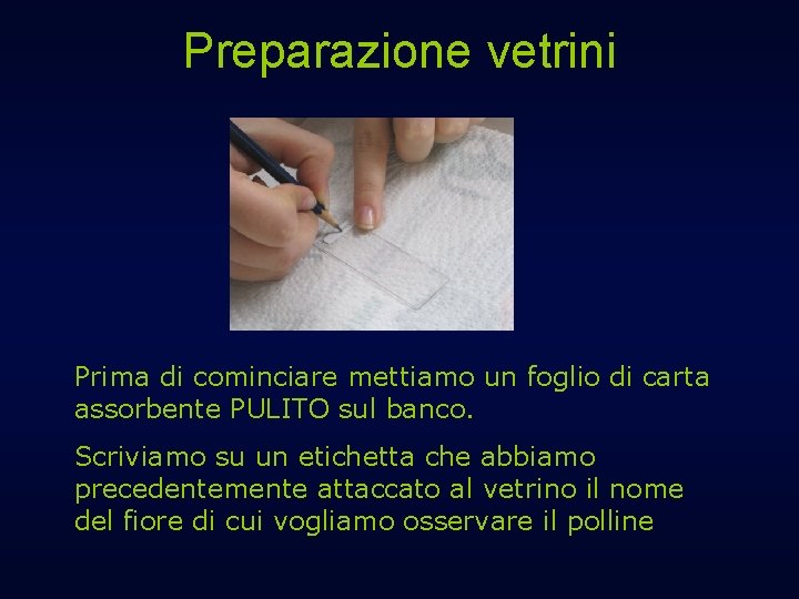 Preparazione vetrini Prima di cominciare mettiamo un foglio di carta assorbente PULITO sul banco.