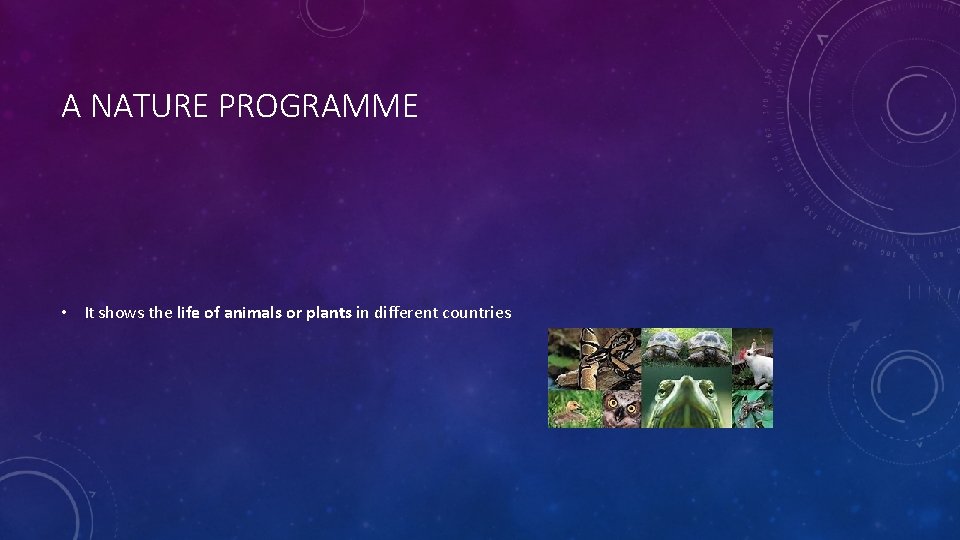 A NATURE PROGRAMME • It shows the life of animals or plants in different