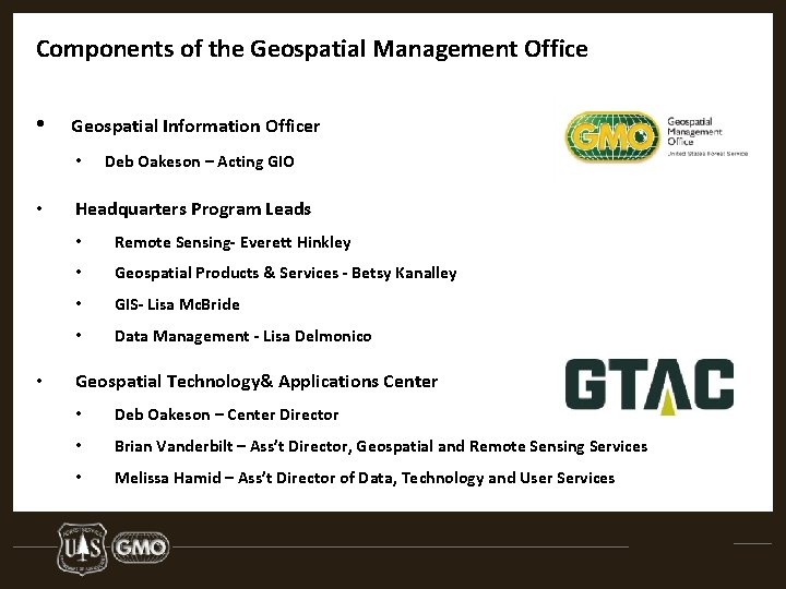 Components of the Geospatial Management Office • Geospatial Information Officer • • • Deb