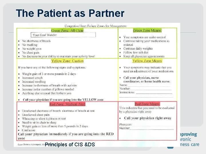 The Patient as Partner Principles of CIS &DS The Patient as Partner Principles of CIS &DS