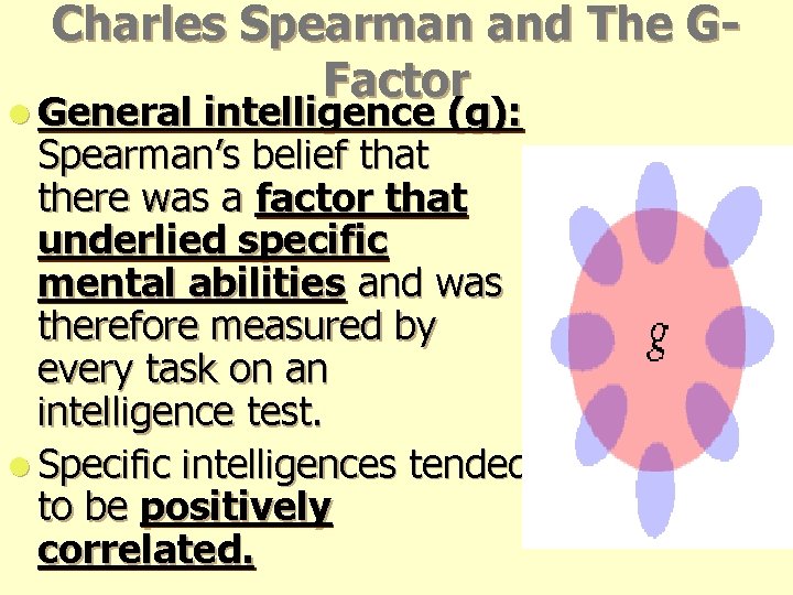 Charles Spearman and The GFactor l General intelligence (g): Spearman’s belief that there was