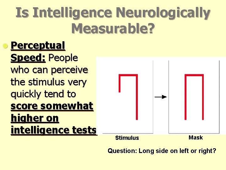 Is Intelligence Neurologically Measurable? l Perceptual Speed: People who can perceive the stimulus very