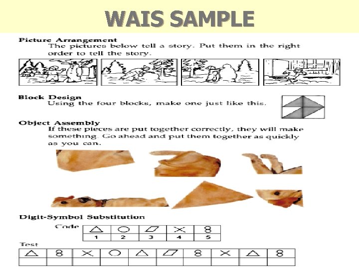 WAIS SAMPLE 