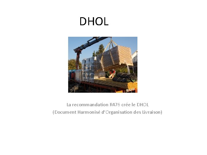 DHOL La recommandation R 476 crée le DHOL (Document Harmonisé d’Organisation des Livraison) 