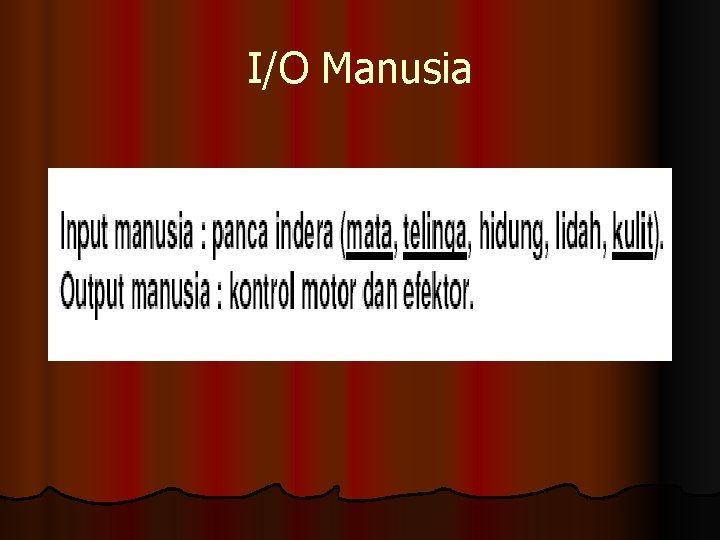 I/O Manusia 