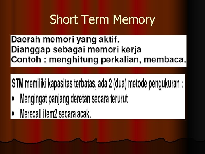 Short Term Memory 