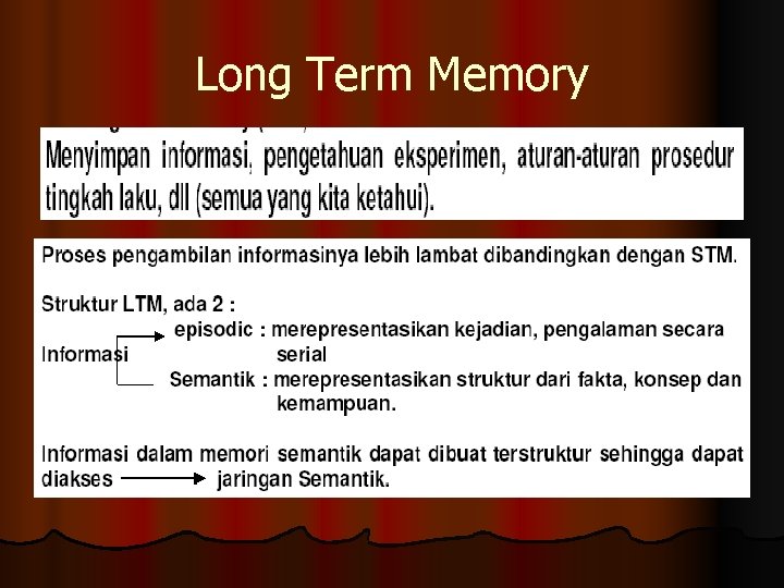 Long Term Memory 