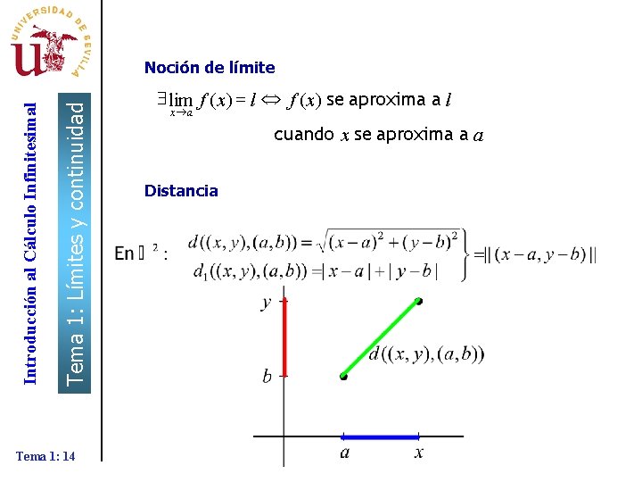 Tema 1: Límites y continuidad Introducción al Cálculo Infinitesimal Noción de límite Tema 1: