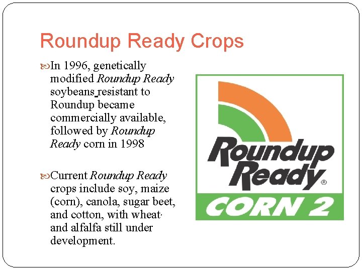 Roundup Ready Crops In 1996, genetically modified Roundup Ready soybeans resistant to Roundup became