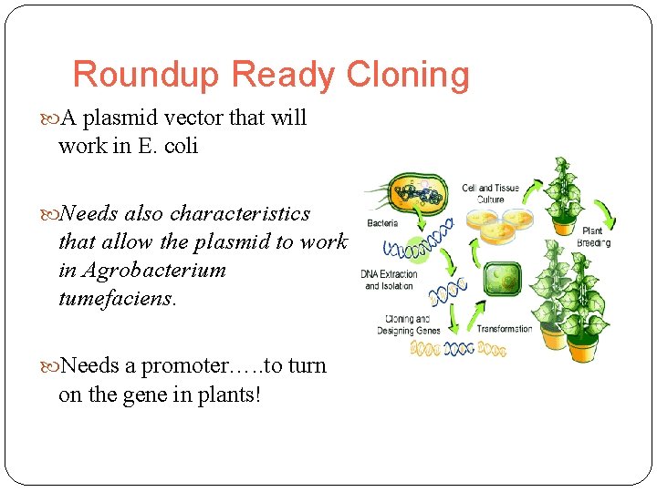Roundup Ready Cloning A plasmid vector that will work in E. coli Needs also