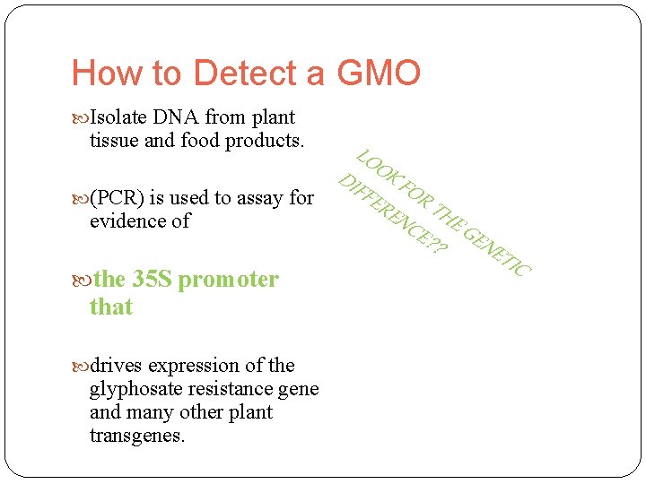 How to Detect a GMO Isolate DNA from plant tissue and food products. that